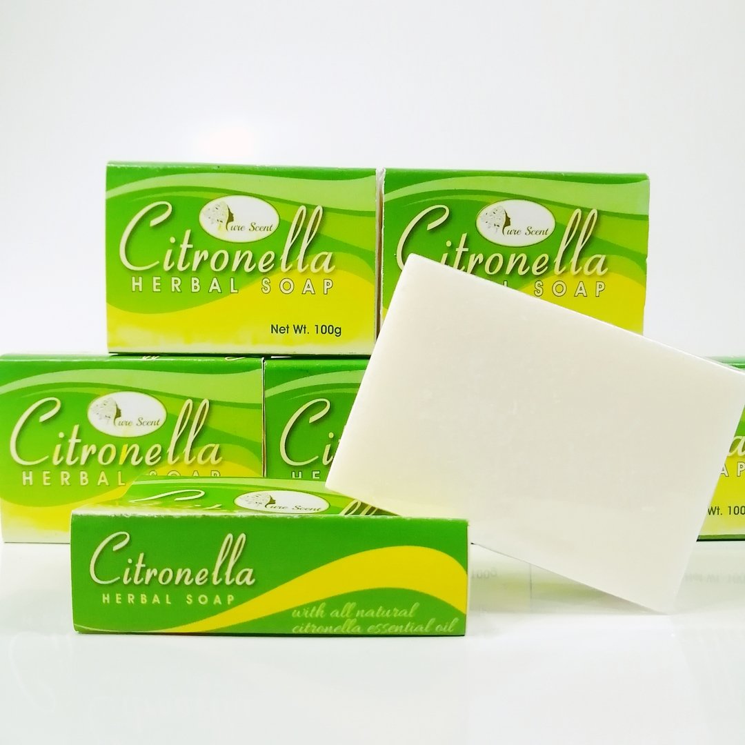 Citronella (1)